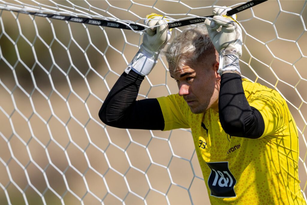 BVB/Alexandre Simoes