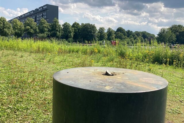 An dieser Stelle stand über Jahre Hans Arps „Ruhendes Blatt“ am City-See. Diebe sägten es ab.