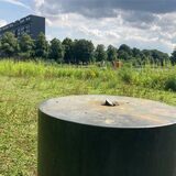 An dieser Stelle stand über Jahre Hans Arps „Ruhendes Blatt“ am City-See. Diebe sägten es ab.