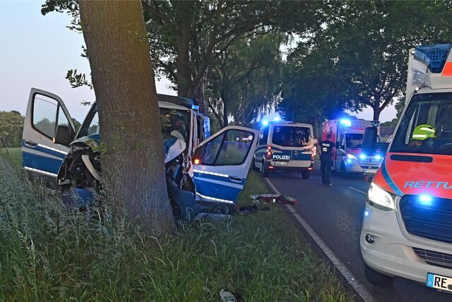Polizei-Transporter vor Straßenbaum, mehrere Fahrzeuge mit Blaulicht drumherum