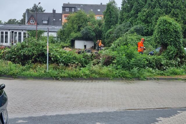 Arbeiter schneiden Büsche