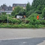 Arbeiter schneiden Büsche