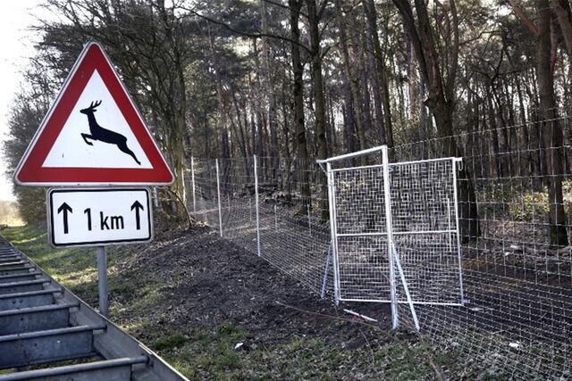 Der bereits errichtete Wildschutzzaun am Bossendorfer Damm