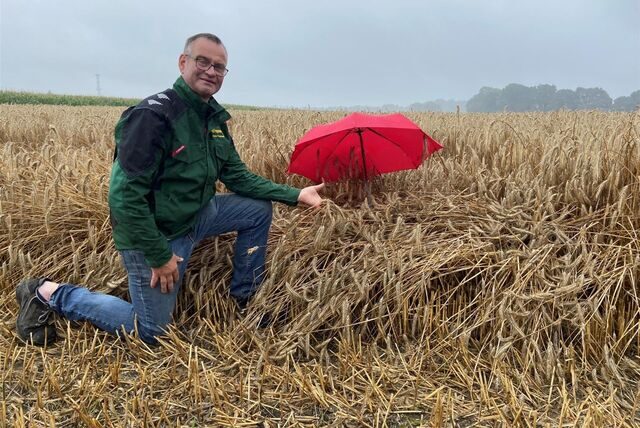 Recklinghäuser Landwirt Heinz Feugmann kniet vor einem Feld mit Triticale.