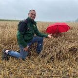 Recklinghäuser Landwirt Heinz Feugmann kniet vor einem Feld mit Triticale.