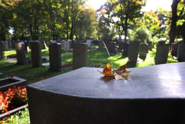 Eine Reihe von Grabsteinen auf einem Friedhof
