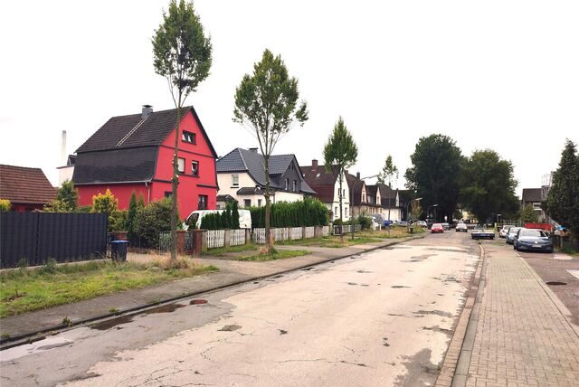 Gerupfte Bäume an der Richardstraße.