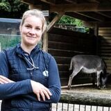 Die Montage zeigt Tierärztin Dr. Anne Brömmling und zwei junge Korsakfüchse aus dem Tierpark Recklinghausen.