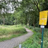 In dem kleinen Park an der Husener Eichwaldstraße/Ecke Flemerskamp kam es im Juli 2023 zu dem brutalen Überfall.
