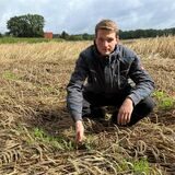 Philipp Schulte-Schedding auf einem seiner Getreidefelder.