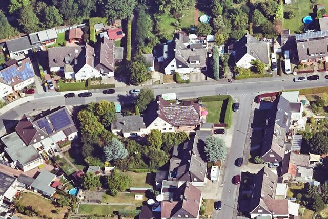Bäume gehören zum Stadtbild von Castrop-Rauxel, auch die direkt neben Wohnhäusern. Die Baumschutzsatzung steht nach Auffassung der FDP aber vielen Bürgern in gewisser Weise im Wege.