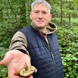 Pilzexperte Stefan Hast aus Lütgendortmund zeigt einen ungiftigen Täubling.