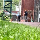 Die Polizei war am Mittwochvormittag mit Hunden am Tatort.
