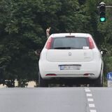 Ein Unfallflüchtiger ignoriert am Mittwoch (16.8.) die Anweisungen der Polizei und fährt durch Absperrungen.