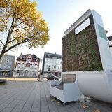 Der City Tree auf dem Bahnhofs-Vorplatz: Er sah nur wenige Wochen in seinem Leben seit 2017 so richtig grün und gesund aus. Nun ist er abgeschrieben.