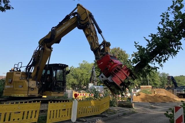 Mit schwerem Gerät können auch große Bäume schnell gefällt werden wie hier ganz legal an der Carl-Duisberg-Straße. Die Marler Baumschutzsatzung will illegale Fällungen verhindern und droht den Umweltsündern mit einem geharnischten Bußgeldkatalog.