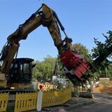 Mit schwerem Gerät können auch große Bäume schnell gefällt werden wie hier ganz legal an der Carl-Duisberg-Straße. Die Marler Baumschutzsatzung will illegale Fällungen verhindern und droht den Umweltsündern mit einem geharnischten Bußgeldkatalog.