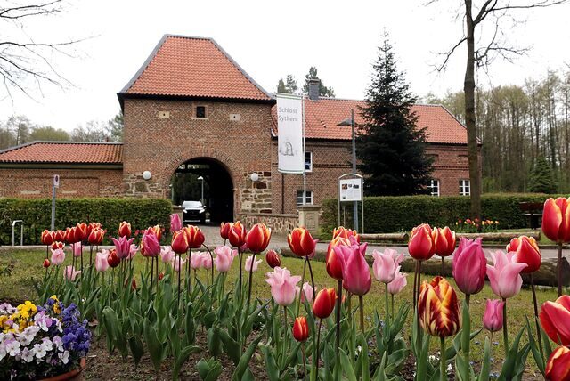 Tulpen vor Schloss