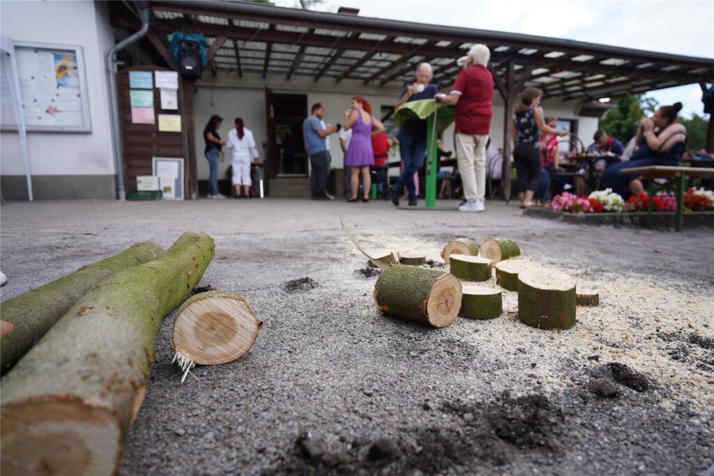 Zersägte Baumstämme liegen nach dem Wettsägen auf dem Boden in der Kleingartenanlage Arbeit und Freude in Oer-Erkenschwick. Zersägte Baumstämme liegen nach dem Wettsägen auf dem Boden in der Kleingartenanlage Arbeit und Freude in Oer-Erkenschwick.