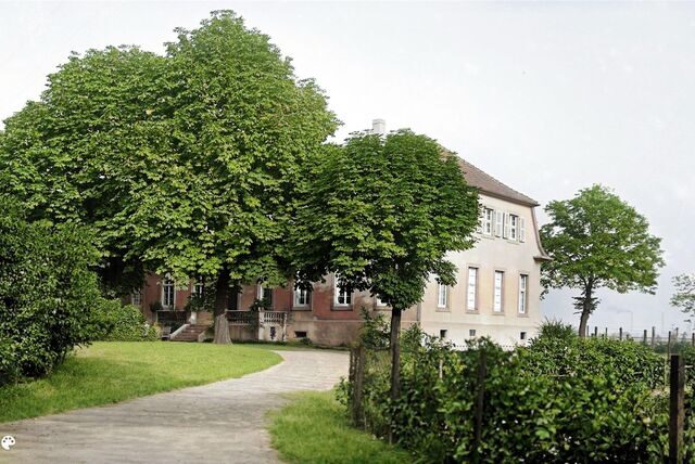 Das Foto von Haus Henrichenburg entstand 1915. Magnus Heier hat es jetzt koloriert. Zum Tag des Denkmals öffnet er die Türen.