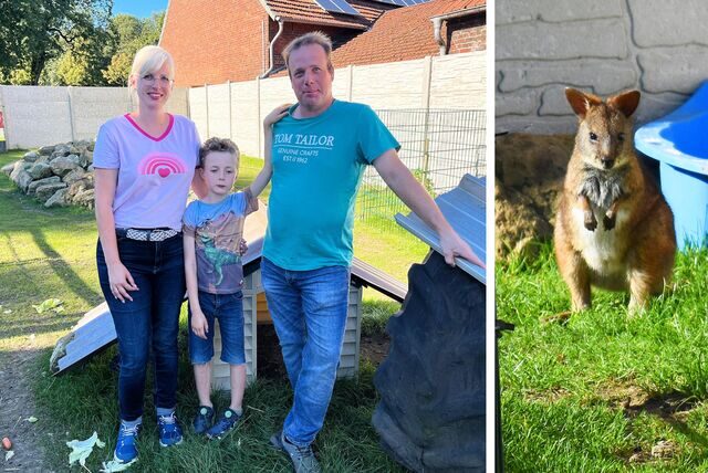 Mareen, Ben und Tobias (r.) Keller stehen im Tiergehege, rechts daneben ein Känguru.
