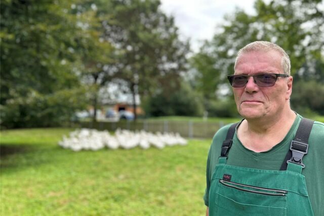Ulrich Dingebauer auf seinem Hof mit Gänsen im Hintergrund