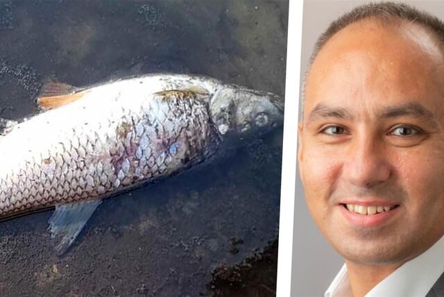 Ilias Abawi vom Lippeverband bestätigt das Fischsterben im Rapphoffs Mühlenbach. Der Hintergrund ist allerdings noch unklar.