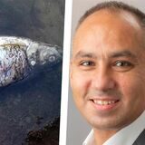 Ilias Abawi vom Lippeverband bestätigt das Fischsterben im Rapphoffs Mühlenbach. Der Hintergrund ist allerdings noch unklar.