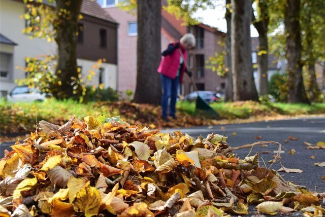 Laub liegt auf der Straße, im Hintergrund fegt eine Frau das Laub weg.
