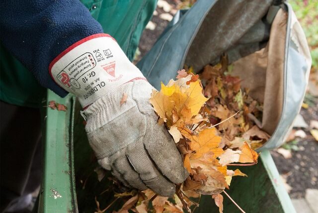 Behandschuhte Hand greift in Laubsack.