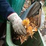 Behandschuhte Hand greift in Laubsack.