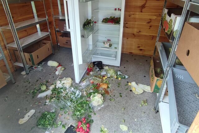Auf dem Boden einer Holzhütte liegt Gemüse verteilt. Darunter Blattsalat und Radieschen. Im Hintergrund ist ein geöffneter Kühlschrank zu sehen.