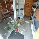 Auf dem Boden einer Holzhütte liegt Gemüse verteilt. Darunter Blattsalat und Radieschen. Im Hintergrund ist ein geöffneter Kühlschrank zu sehen.