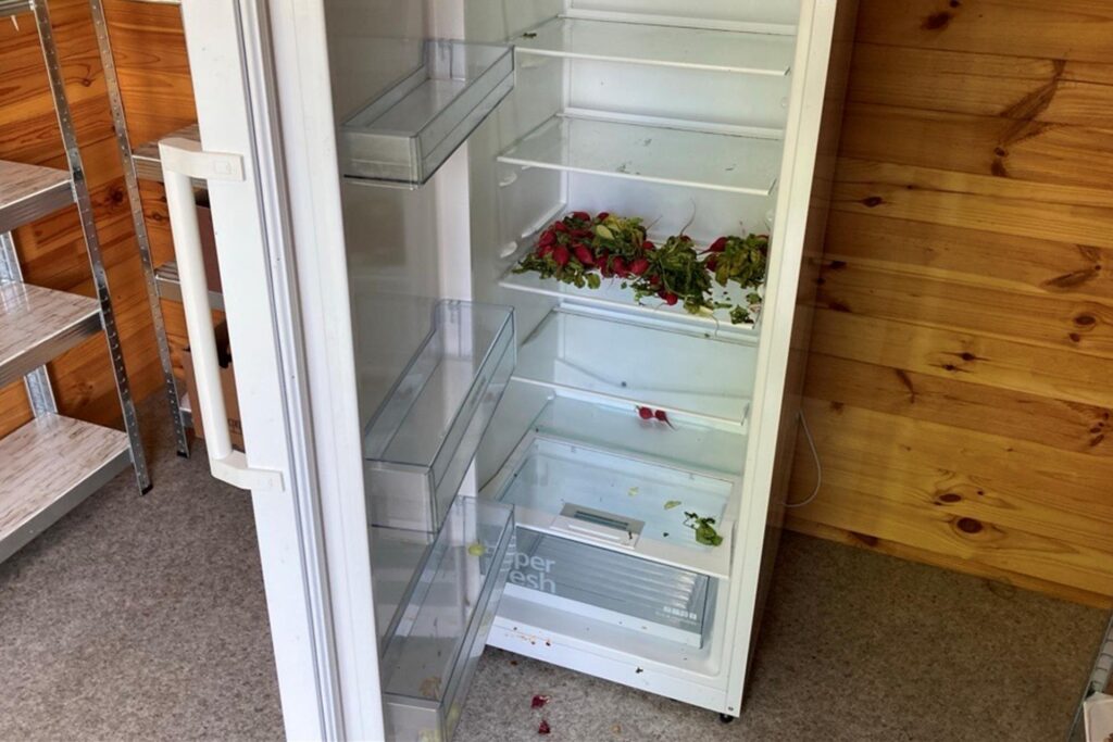 Der geöffnete Kühlschrank der „Fair-Teiler-Hütte