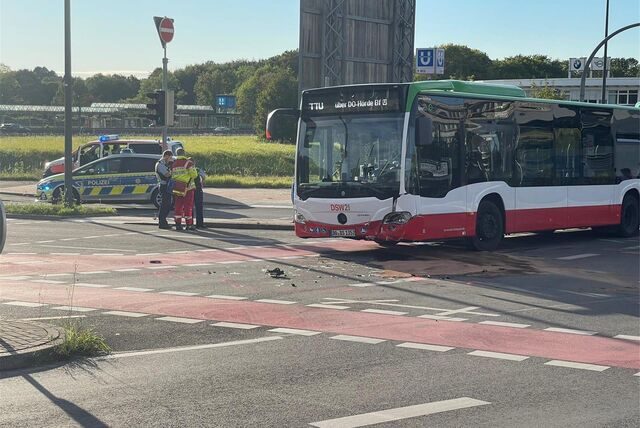 Mauermann / news 4 Video-Line TV