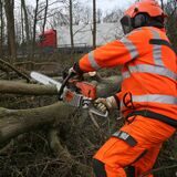 Wegen Grünschnittarbeiten muss eine Bundesstraße in Dortmund am kommenden Wochenende gesperrt werden.