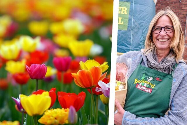 Die Montage zeigt ein Tulpenfeld und Spargel-Fachfrau Mechthild Tenthoff aus Recklinghausen.