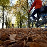 Eine Frau fährt mit dem Fahrrad durch eine herbstliche Allee.