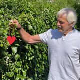 Hans Werner Diel am Schicksalsort in Werne. Zur Erinnerung an seinen Herzstillstand und seine Rettung hat er ein Herz an die Hecke gehängt.