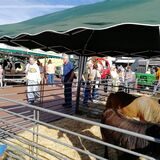 Erntemarkt Waltrop
