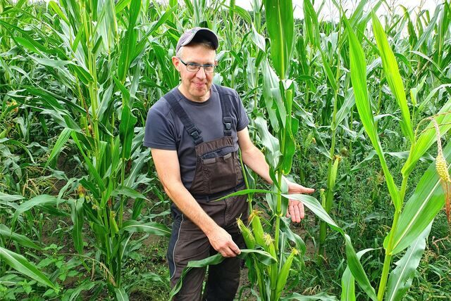 Landwirt Stefan Uhlenbrock steht im Maiskolbenfeld.