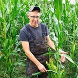 Landwirt Stefan Uhlenbrock steht im Maiskolbenfeld.