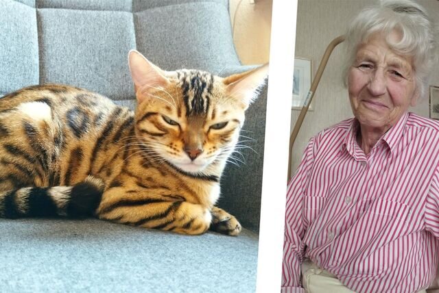 Links ist die Bengalkatze Petra zu sehen und rechts ihre Besitzerin