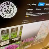 Die Instagramseite des Cannabis Club Castrop