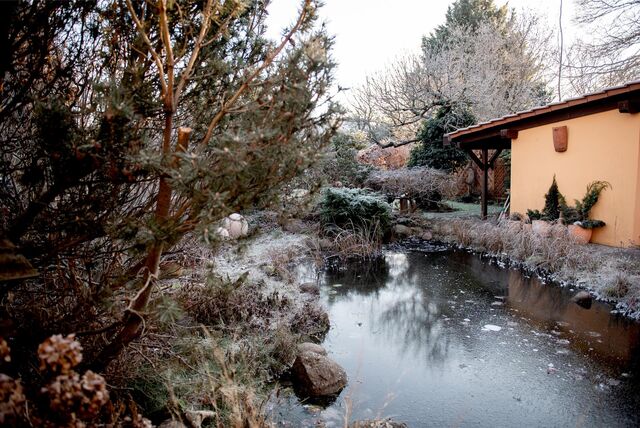 Gartenteich im Winter