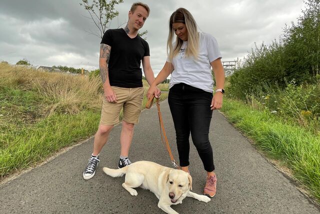 Die Labrador-Retriever-Hundedame Tilda (4) nahm bei einem Spaziergang im Gneisenau-Park im Juni 2023 einen mit Gift versetzten Köder auf. Sebastian Adamczyk und seine Freundin Marisa Kraft gehen davon aus, dass die Hündin einen bleibenden Herzschaden davongetragen hat.