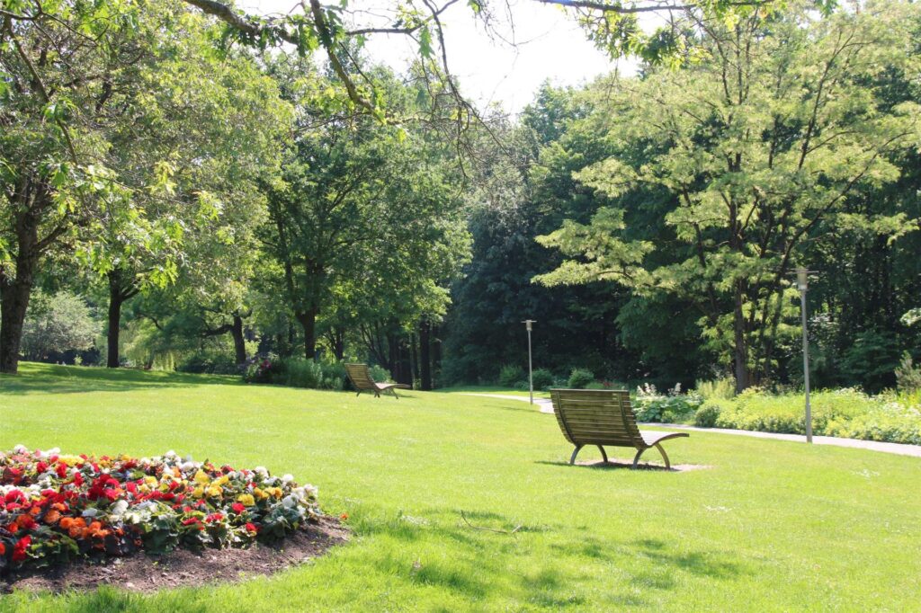 bank in einem park