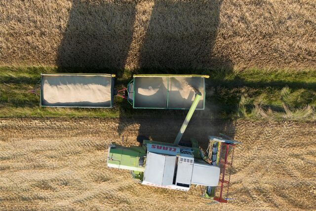 Ein Landwirt mäht mit einem Mähdrescher ein Getreidefeld (Luftaufnahme mit einer Drohne) und füllt das Korn in einen Berit stehenden Anhänger.
