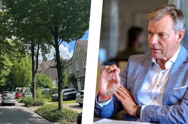 Die Montage zeigt Säulenhainbuchen auf der Breslauer Straße und Recklinghausens Bürgermeister Christoph Tesche.