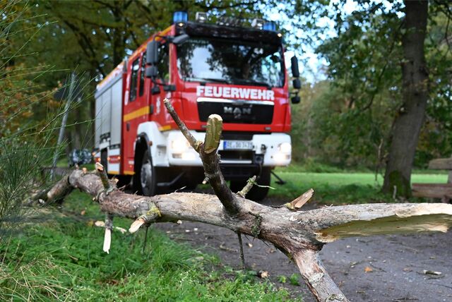 Die Dorstener Feuerwehr ist am Donnerstagmorgen aufgrund des Sturms schon zum Söltener Landweg gerufen worden.
